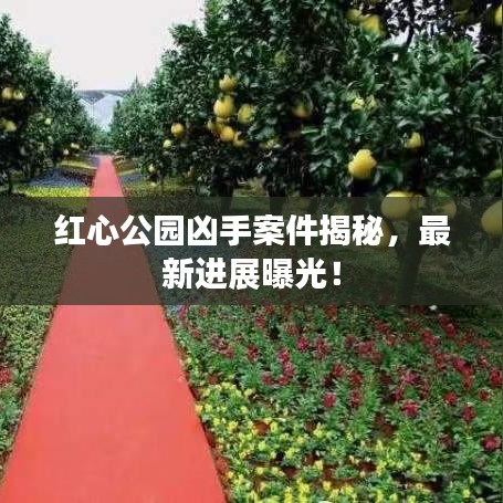 红心公园凶手案件揭秘，最新进展曝光！