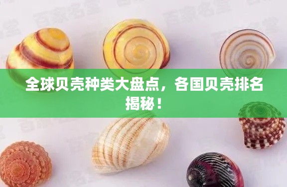 全球贝壳种类大盘点，各国贝壳排名揭秘！