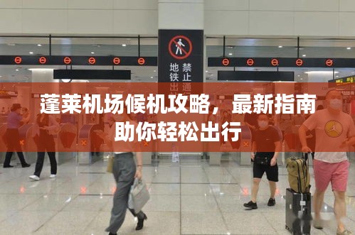 蓬莱机场候机攻略，最新指南助你轻松出行