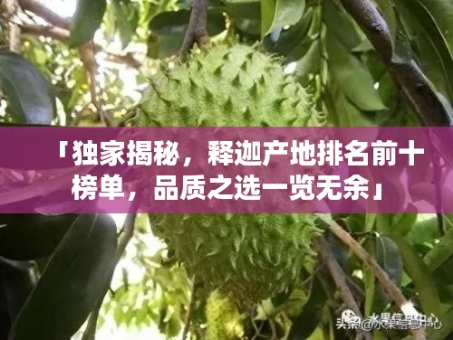 「独家揭秘，释迦产地排名前十榜单，品质之选一览无余」