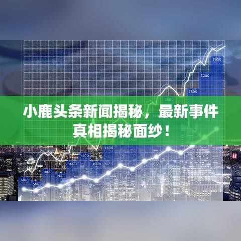 小鹿头条新闻揭秘，最新事件真相揭秘面纱！