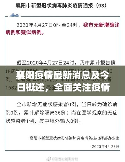 襄阳疫情最新消息及今日概述，全面关注疫情动态