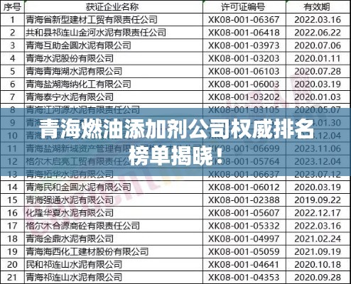 青海燃油添加剂公司权威排名榜单揭晓！