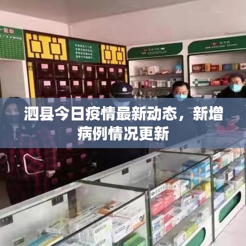 泗县今日疫情最新动态，新增病例情况更新