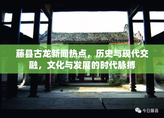藤县古龙新闻热点，历史与现代交融，文化与发展的时代脉搏