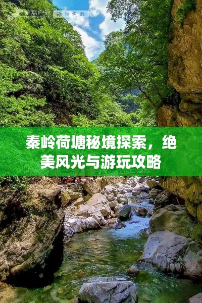 秦岭荷塘秘境探索，绝美风光与游玩攻略