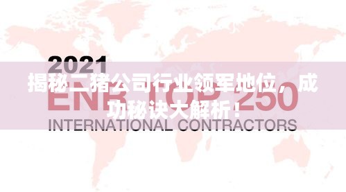 揭秘二猪公司行业领军地位，成功秘诀大解析！