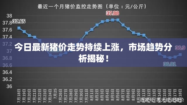 今日最新猪价走势持续上涨，市场趋势分析揭秘！