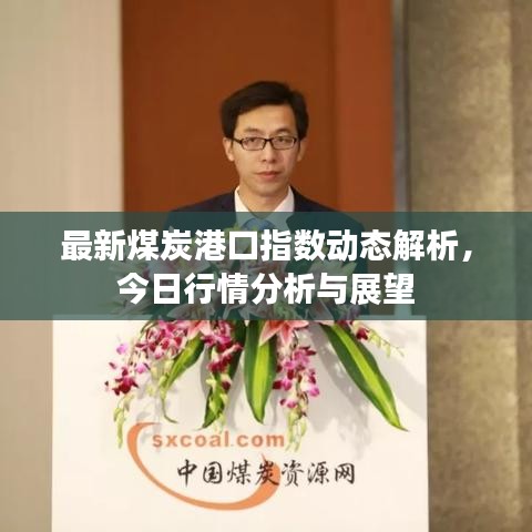 最新煤炭港口指数动态解析，今日行情分析与展望