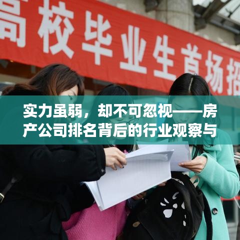 实力虽弱，却不可忽视——房产公司排名背后的行业观察与深度解析
