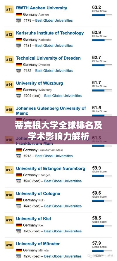 蒂宾根大学全球排名及学术影响力解析