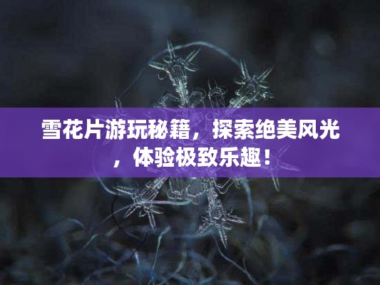雪花片游玩秘籍，探索绝美风光，体验极致乐趣！