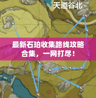 最新石珀收集路线攻略合集，一网打尽！