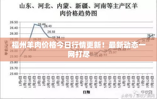 福州羊肉价格今日行情更新！最新动态一网打尽