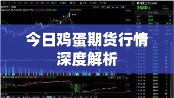 今日鸡蛋期货行情深度解析