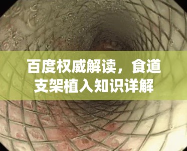 投影仪 第12页