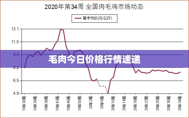 毛肉今日价格行情速递
