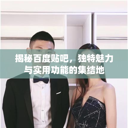 揭秘百度贴吧，独特魅力与实用功能的集结地