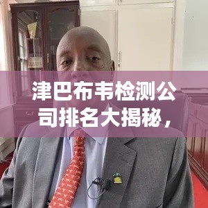 津巴布韦检测公司排名大揭秘，权威榜单揭晓，优质机构一网打尽！
