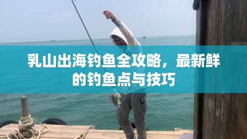 乳山出海钓鱼全攻略，最新鲜的钓鱼点与技巧