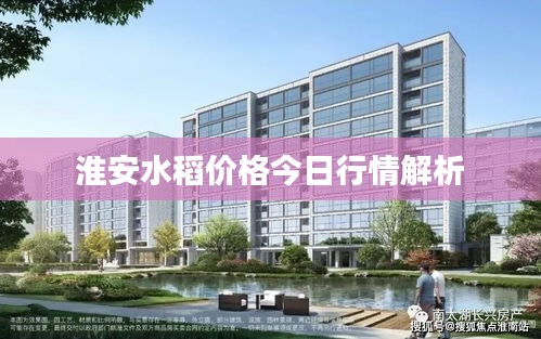 淮安水稻价格今日行情解析