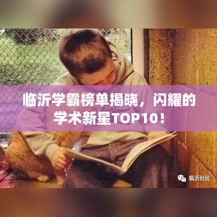 临沂学霸榜单揭晓，闪耀的学术新星TOP10！