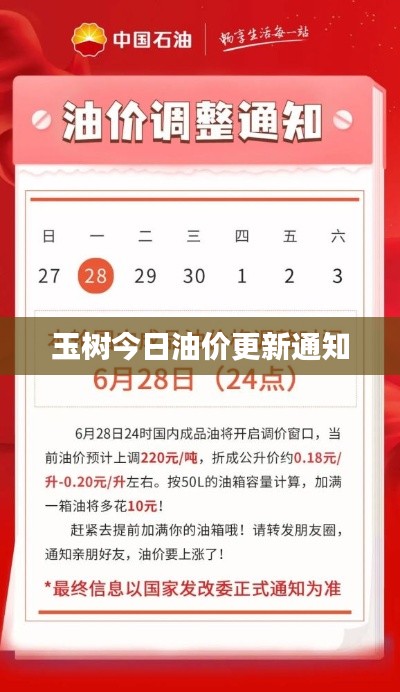 平板电脑 第12页
