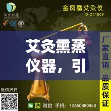 艾灸熏蒸仪器，引领全新健康养生潮流！