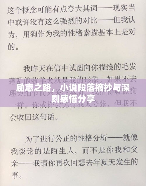 励志之路，小说段落摘抄与深刻感悟分享