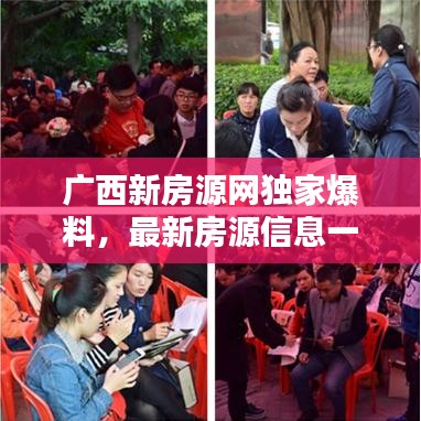广西新房源网独家爆料，最新房源信息一网打尽！