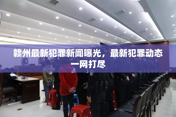 赣州最新犯罪新闻曝光，最新犯罪动态一网打尽