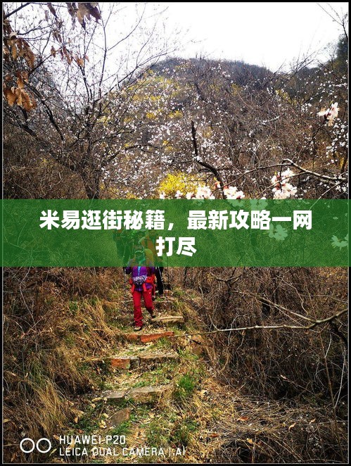 张张屈屈
