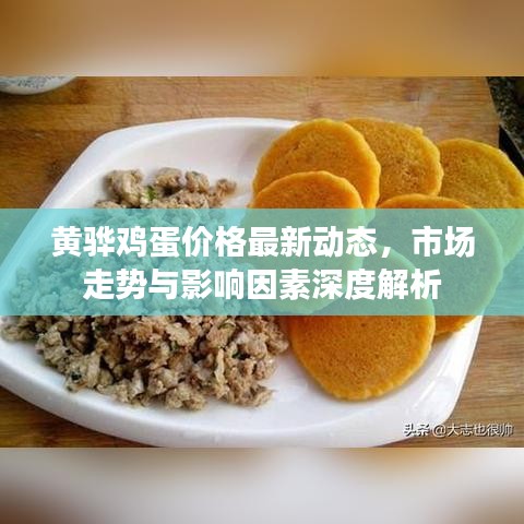 黄骅鸡蛋价格最新动态，市场走势与影响因素深度解析