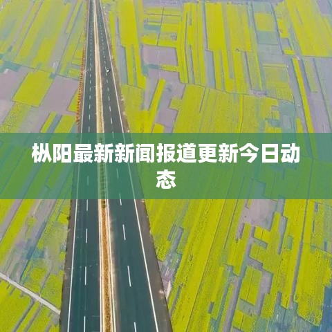 枞阳最新新闻报道更新今日动态