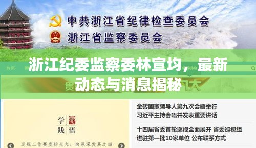 浙江纪委监察委林宣均，最新动态与消息揭秘