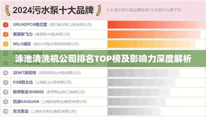泳池清洗机公司排名TOP榜及影响力深度解析