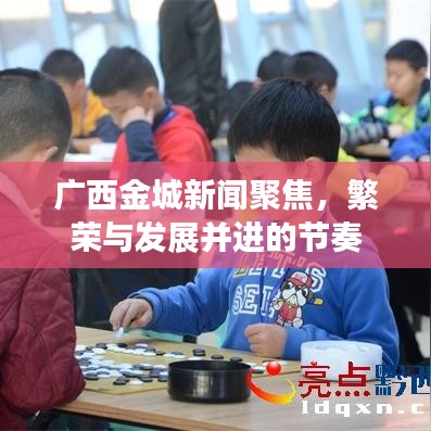 广西金城新闻聚焦，繁荣与发展并进的节奏