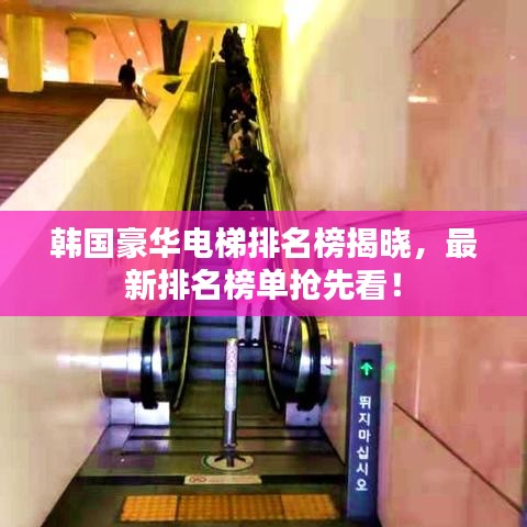 韩国豪华电梯排名榜揭晓，最新排名榜单抢先看！