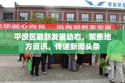 平坝区最新发展动态，聚焦地方资讯，传递新闻头条