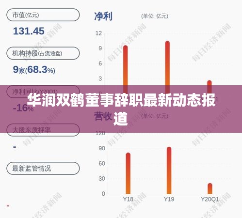 华润双鹤董事辞职最新动态报道