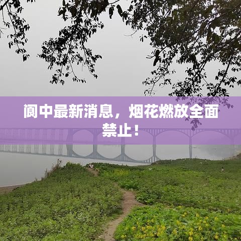 阆中最新消息，烟花燃放全面禁止！