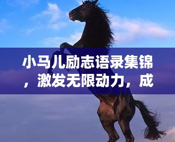 小马儿励志语录集锦，激发无限动力，成就非凡人生！
