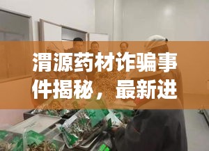渭源药材诈骗事件揭秘，最新进展曝光！