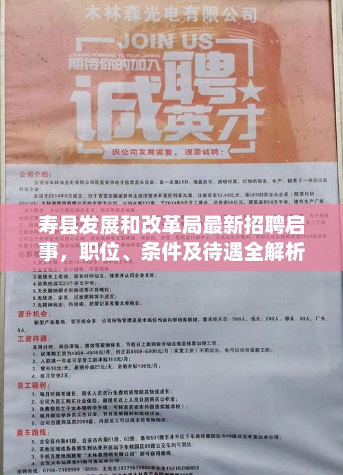 寿县发展和改革局最新招聘启事，职位、条件及待遇全解析