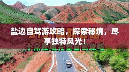 张袂如阴