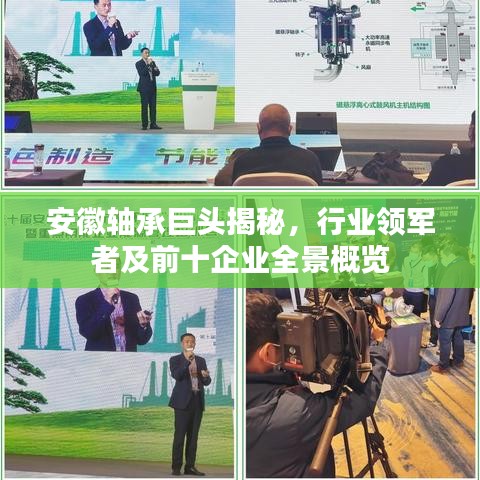 安徽轴承巨头揭秘，行业领军者及前十企业全景概览