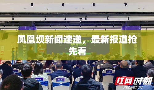 凤凰坝新闻速递，最新报道抢先看