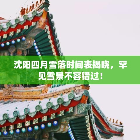 沈阳四月雪落时间表揭晓，罕见雪景不容错过！