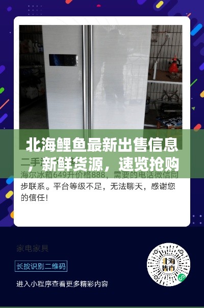 北海鲤鱼最新出售信息，新鲜货源，速览抢购！