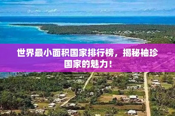 平板电脑 第8页
